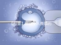 【科普】那些令人羨慕的優(yōu)質(zhì)胚胎有什么條件？