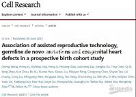 “吐血整理”細數三代試管嬰兒操作流程