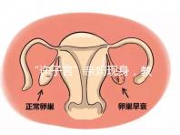 “許子言”親媽現(xiàn)身,教你如何生一個(gè)媽媽的小情人小暖爐!