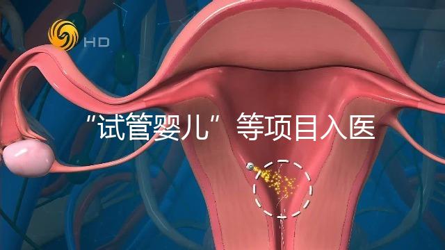 “試管嬰兒”等項目入醫保能如期落地嗎？廣西回應