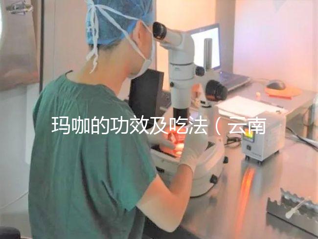 瑪咖的功效及吃法(云南瑪咖的功效及吃法)