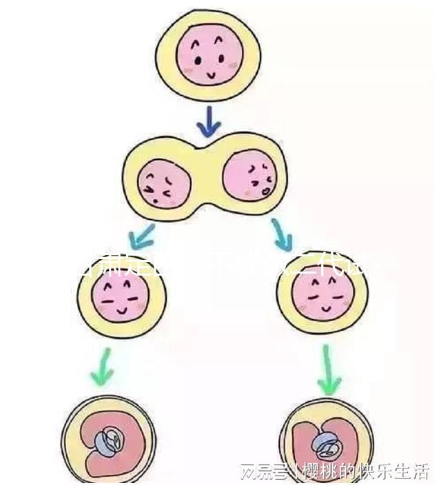 甘肅定西能不能做二代試管嬰兒，成功率高不高？