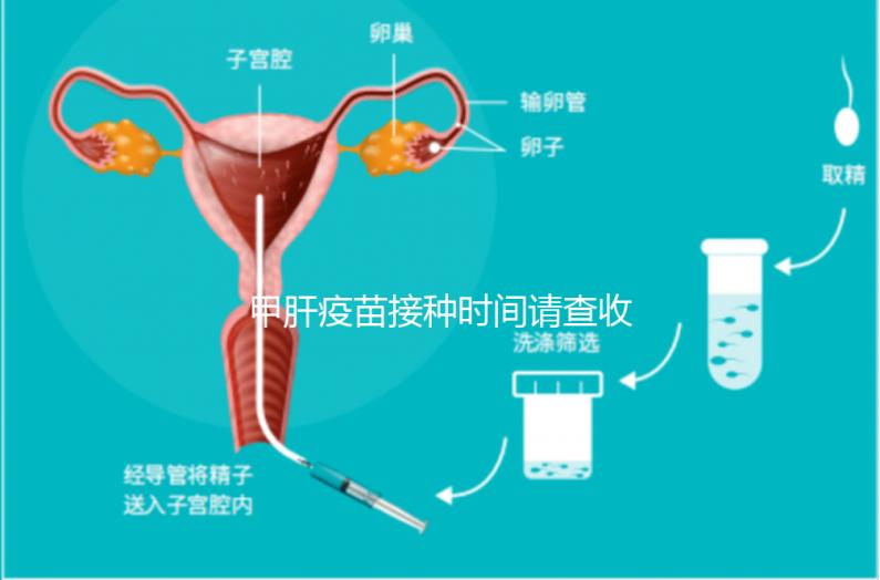 甲肝疫苗接種時間請查收，第二針推遲注射切勿間隔太長