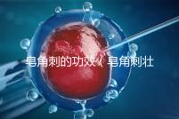 皂角刺的功效（皂角刺壯陽多強）