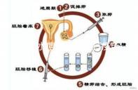 盤點水痘潛伏期能打疫苗嗎，盲目接種水痘疫苗作用不大