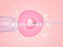 盤點孕中期4種睡姿，哪一種正確又健康？