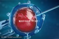 看到懷孕的第二個(gè)孩子!2024年廣州試管嬰兒費(fèi)用清單