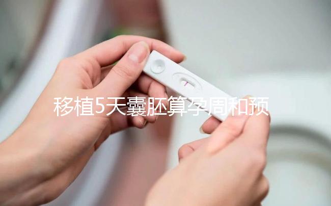 移植5天囊胚算孕周和預(yù)產(chǎn)期有訣竅，專家：用這2種方法