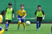 美國(guó)試管嬰兒可以選擇性別嗎?附上法律規(guī)定和安全性