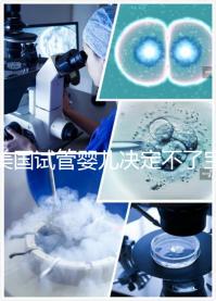 美國試管嬰兒決定不了寶寶身高、智商，但這些可以...