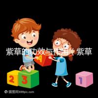 紫草的功效與作用（紫草的功效與作用與主治）