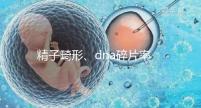 精子畸形、dna碎片率高，三代試管嬰兒或許是最后“救星”