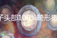 精子頭部100%畸形指數1.69，試管這條路還能通