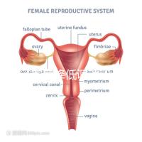 精子密度降低調(diào)理四步走，男性生育制勝法寶趕緊看看