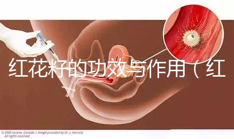紅花籽的功效與作用(紅花的正確飲用方法)