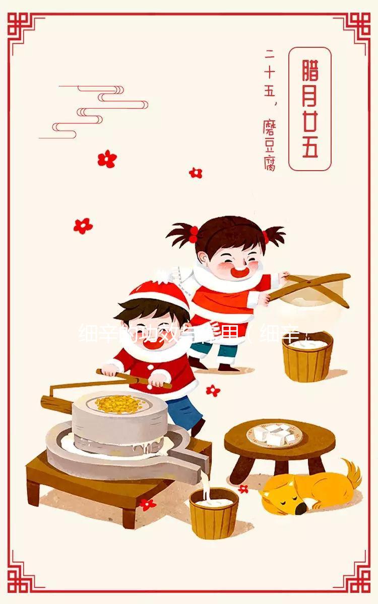 細辛的功效與作用(細辛去哪里的寒氣)