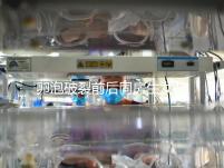 卵泡破裂前后同房生女孩不可信！想要懷女兒送你這3招