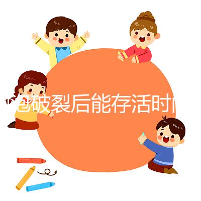 卵泡破裂后能存活時間是多久？別以為24小時就是極限