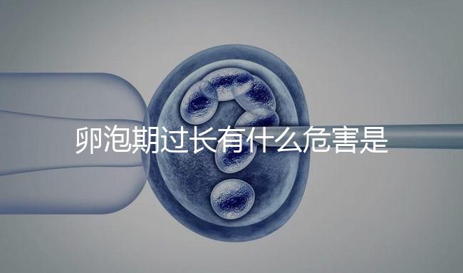 卵泡期過長(zhǎng)有什么危害是否會(huì)影響懷孕