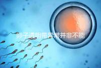 卵子透明帶異常并非不能治療好，你不知道的終極解決方法！