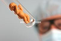 單身女人一個人在中國做試管嬰兒需要多少錢？