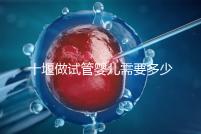 十堰做試管嬰兒需要多少錢？各大醫(yī)院成功率及費(fèi)用在這里