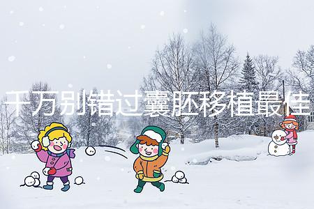 千萬別錯過囊胚移植最佳時間，早上or晚上有講究