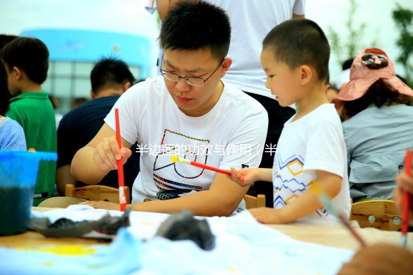 半邊蓮的功效與作用(半邊蓮的功效與作用的功能與主治)