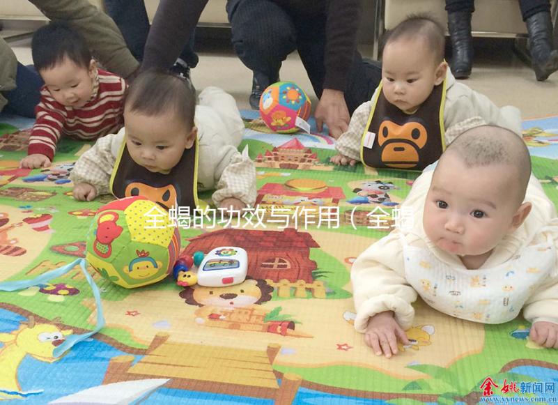 全蝎的功效與作用（全蝎治什么病最好最快）