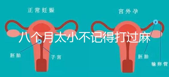 八個月太小不記得打過麻風疫苗看這，2大反應教你辨別