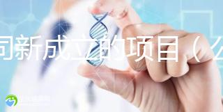 公司新成立的項(xiàng)目(公司新成立的項(xiàng)目歸屬投資人嗎)