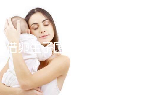 借卵生子國內(nèi)最新規(guī)定和措施匯總,關于撫養(yǎng)權(quán)統(tǒng)統(tǒng)告訴你