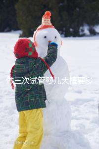 做三次試管嬰兒大概要多少錢