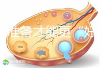 做好準(zhǔn)備才能更“好孕”！美國試管嬰兒進(jìn)周前后3大注意事項(xiàng)