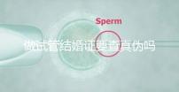 做試管結(jié)婚證要查真?zhèn)螁幔ㄗ鲈嚬芙Y(jié)婚證要查真?zhèn)螁岫嗌馘X(qián))