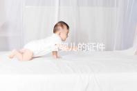 做試管嬰兒的證件