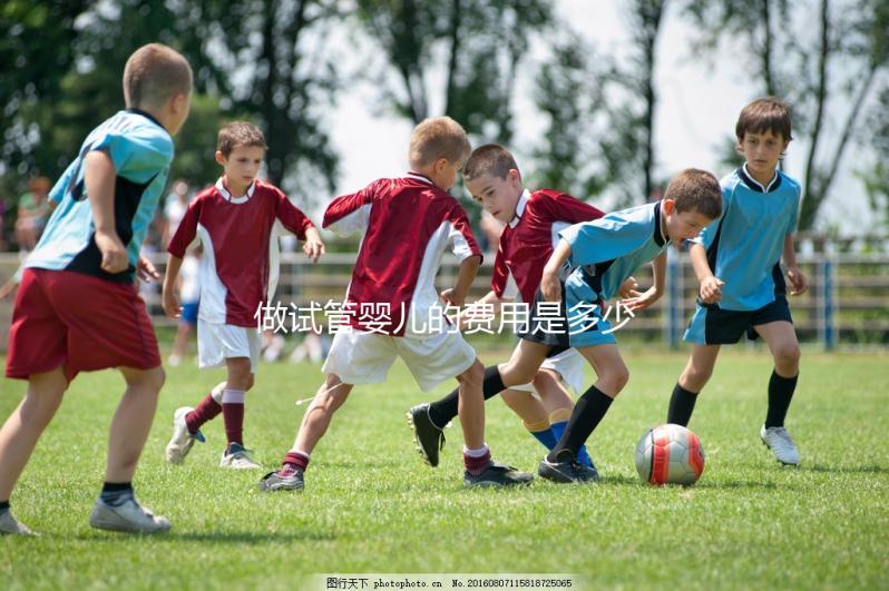 做試管嬰兒的費(fèi)用是多少?