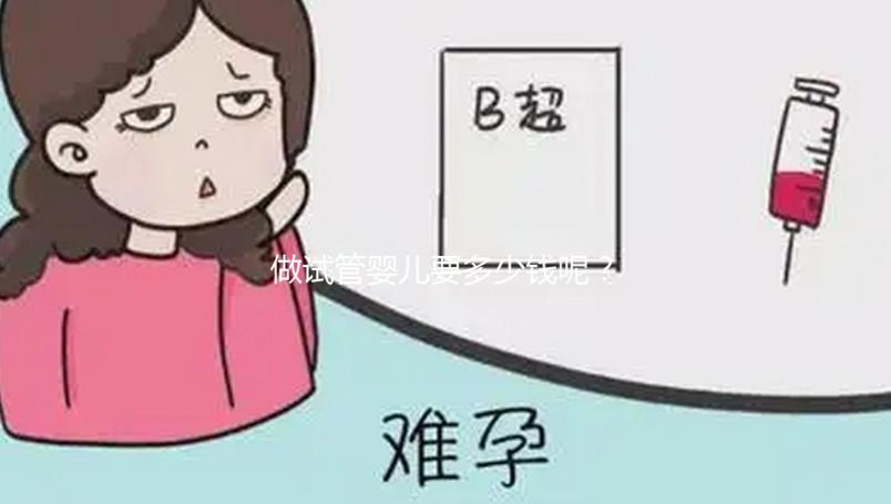 做試管嬰兒要多少錢呢？