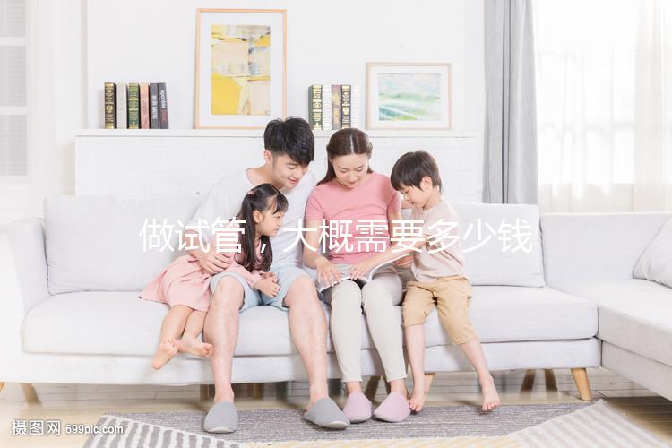 做試管，大概需要多少錢