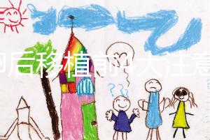 取卵后移植前4大注意事項要謹記！提升試管成功率就靠它