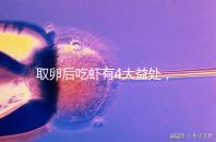 取卵后吃蝦有4大益處，且聽(tīng)本文娓娓道來(lái)！