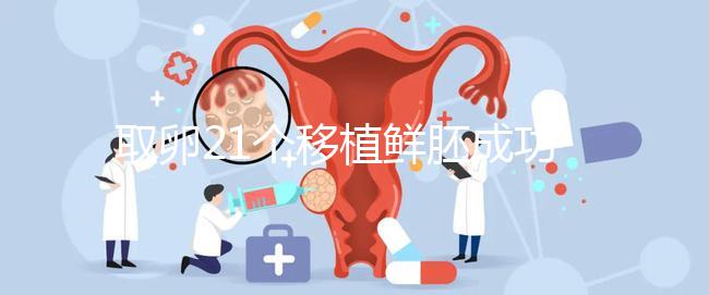 取卵21個(gè)移植鮮胚成功率真不低,前提:等卵巢恢復(fù)后再手術(shù)