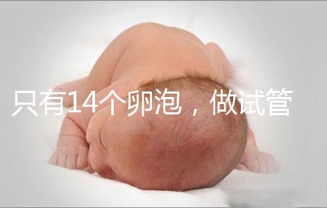 只有14個卵泡，做試管嬰兒到底要不要養囊？