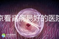 北京看腎病最好的醫(yī)院(北京腎內(nèi)科最厲害三個醫(yī)生)