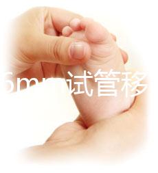 內(nèi)膜16mm試管移植能否著床速覽，可否移植看身體情況