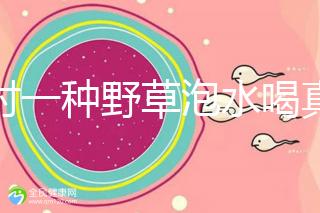 農村一種野草泡水喝真能治便秘！配合這九種中草藥效果更好