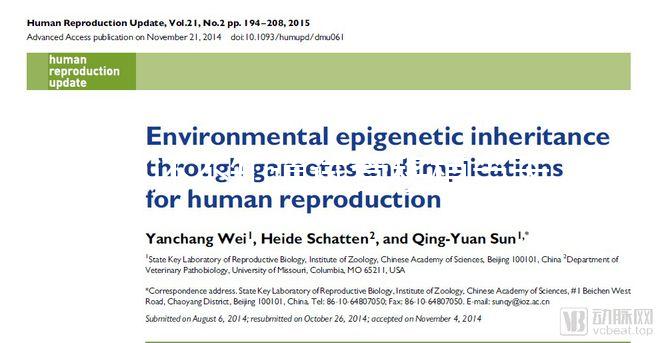 別還不知道試管移植當天打什么針容易著床，用對能更快好孕