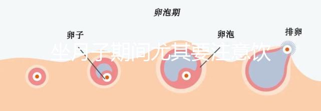 坐月子期間尤其要注意飲食，禁止吃的12種蔬菜有這些