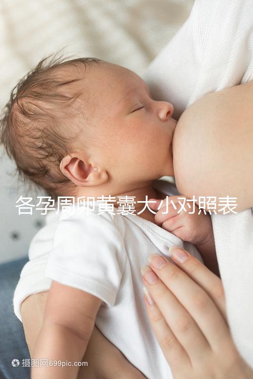 各孕周卵黃囊大小對照表，偏大、偏小都不正常