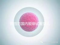 同性戀國內(nèi)能做試管嬰兒嗎?大多將希望寄托于海外試管